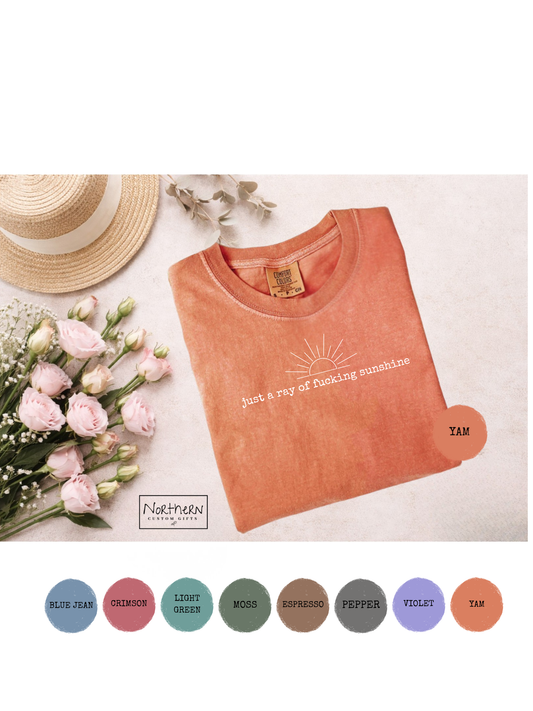 Ray of F***ing Sunshine / Comfort Colors T-Shirt